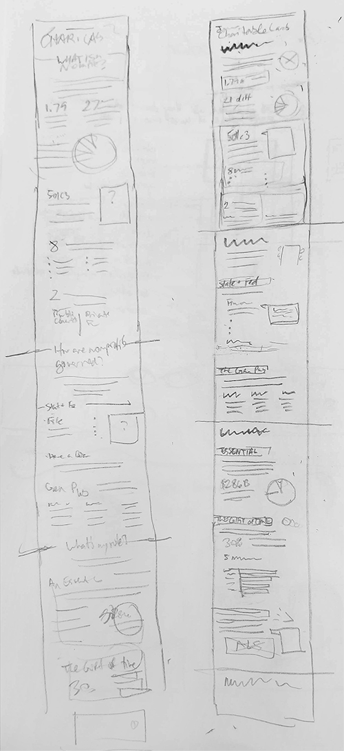 CharitableLandscapeInfographic_earlysketch