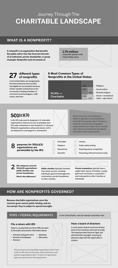 CharitableLandscapeInfographic_wireframe1